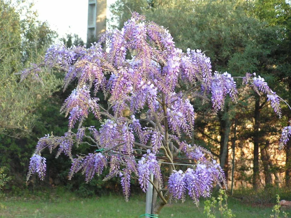 Le Jardin Des Selves Bed and Breakfast Draguignan Bed & Breakfast